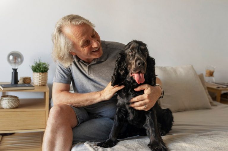 Pautas de cuidado estético y salud para perros senior