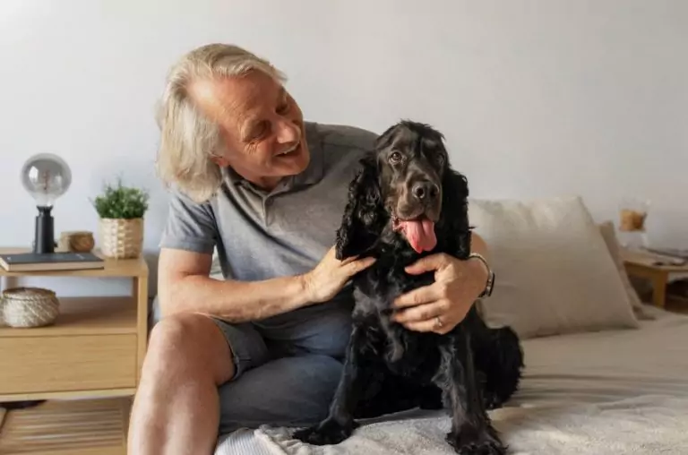 Pautas de cuidado estético y salud para perros senior