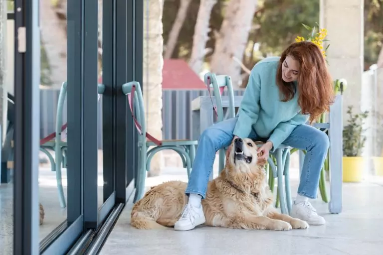 Beneficios de una residencia sin jaulas para el bienestar del perro