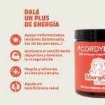 CordyPower: Energía y Vitalidad | Mary&Trufa - imagen 3