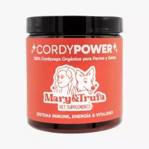 CordyPower: Energía y Vitalidad | Mary&Trufa