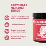 Reishi Longevity: Mascotas Senior | Mary&Trufa - imagen 2