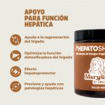 HepatoShrooms: Protector Hepático Natural | Mary&Trufa - imagen 3