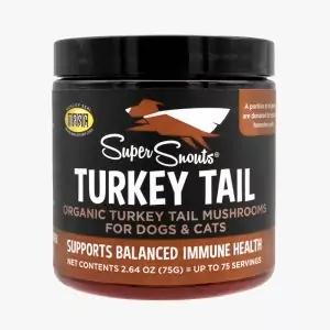 Turkey Tail: Suplemento de Cola de Pavo | Super Snouts